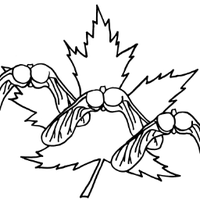 Can Botanical Assoc (@canbotanical) 's Twitter Profile