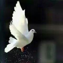 God promises joy in His house of prayer. May your heart be a place where God's Spirit dwells.