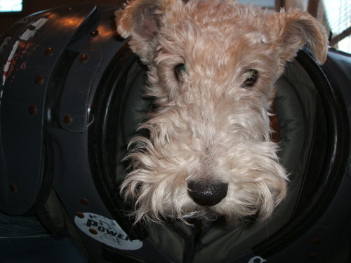 itta21's profile picture. 門前仲町在住。アメフト選手→町工場社長→外資系経営コンサルタント（シニアマネージャ）→ベンチャー企業取締役