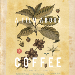 A Film About Coffee Coffee Film Jp Twitter