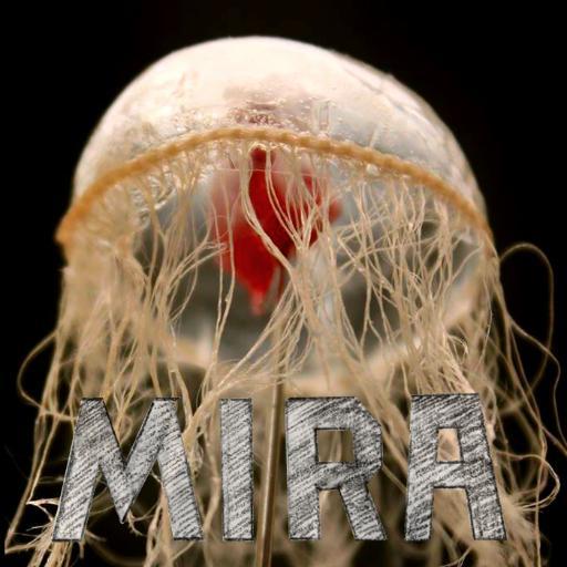 Sloan Funded poetic science short film - raising awareness about living with epilepsy & marine biology. In post-production. @atasse https://t.co/S8EC9a2mKN