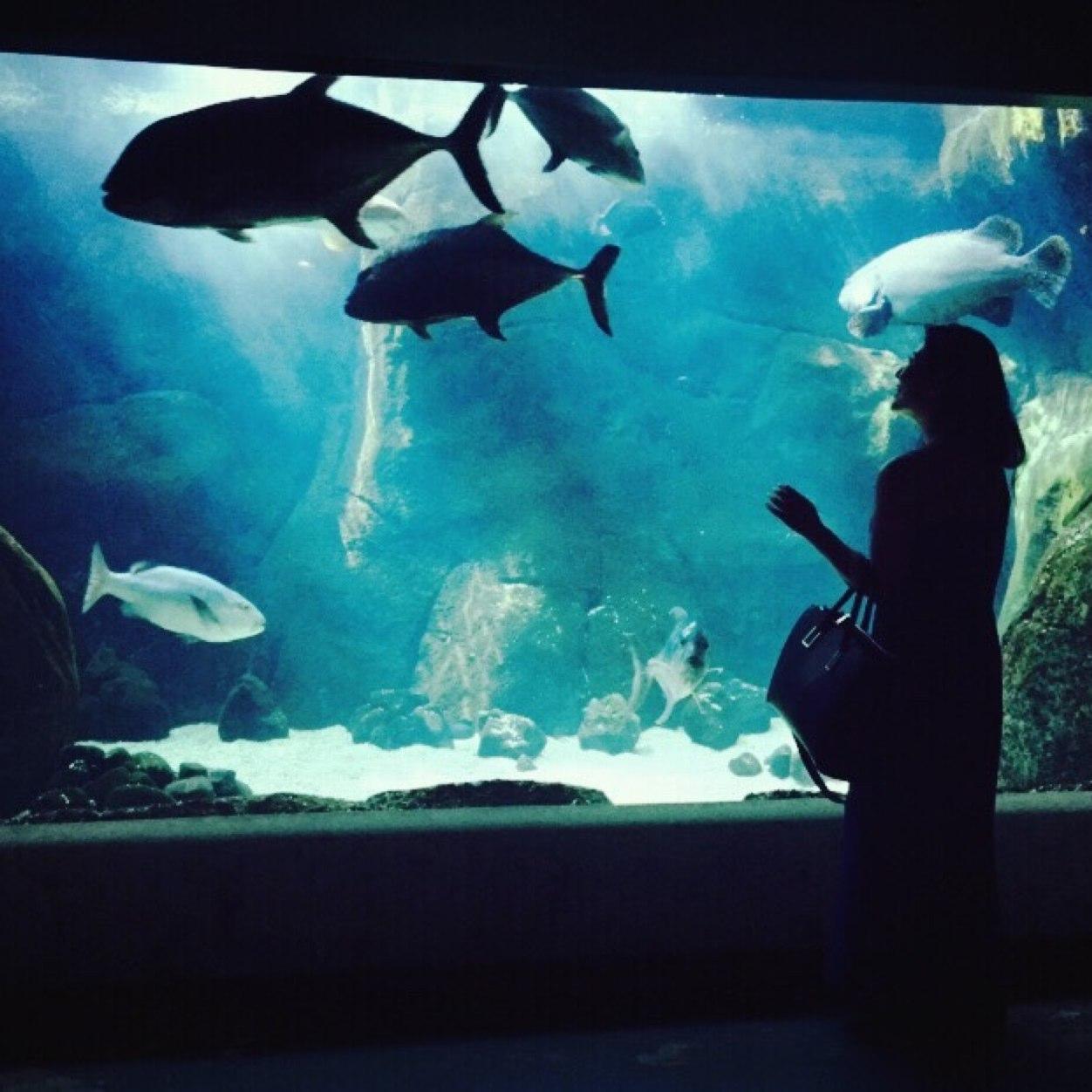 Chinammie's profile picture. Love meeting new people and traveling.