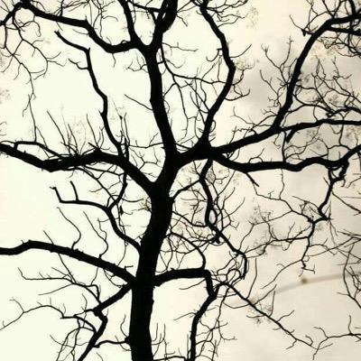 amolkhairnar's profile picture. I am therefore i twit