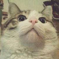 aha (@hu4ky) 's Twitter Profile Photo