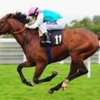 Iknowtheloser (@iknowtheloser) 's Twitter Profile