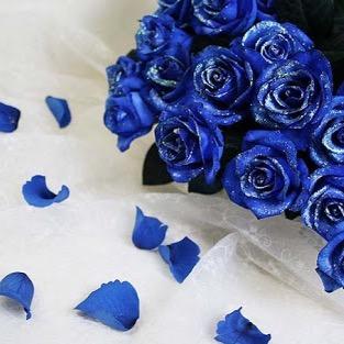 dahlia_101's profile picture. きまぐれ、つれづれ。 おいしいものときれいなものと大切な人が好き。