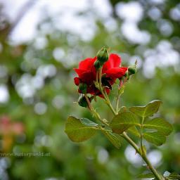 cma_nadeem's profile picture. 