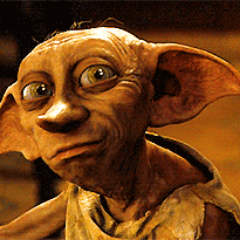 Dobbysite's profile picture. Soy un elfo libre.                                               Dobby nunca pretende matar, solo mutilar o herir de gravedad
#potterty
