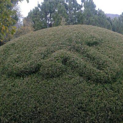 f9d4555dea2749a's profile picture. 