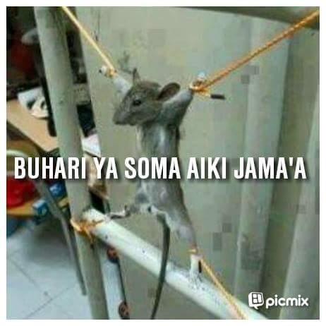 Muhamma76531793's profile picture. 