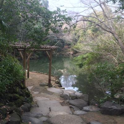 serizawa_1220's profile picture. Kanazawa→Osaka⇄Tokyo/パズドラ1088↑/soft tennis / ECG1×C