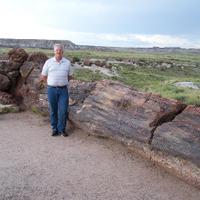 Jess S (@jesss52) 's Twitter Profile Photo