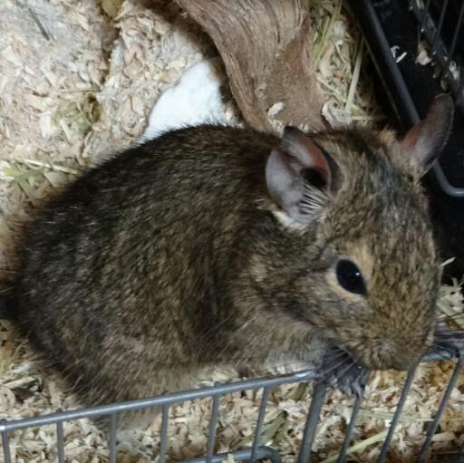 sqryf524's profile picture. 