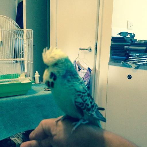 Jungle Budgie ya get me Original JungleBudgie Junglist Soldier since day One Shouts out to all My Fam and PaPaDum PEACE ChickenPie