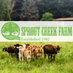 Sprout Creek Farm (@SproutCreekFarm) Twitter profile photo