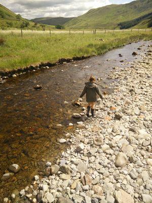 mscoutw's profile picture. CamOps|Director|PhoenixSmash|Fête3|mscoutw@melee.uk.