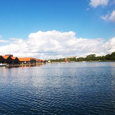 faten_106's profile picture. 