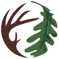 Tree Stand Safety(@TreeStandSafety) 's Twitter Profile Photo