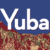 YubaNet Fire News (@YubaNetFire) Twitter profile photo