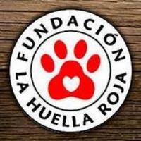 Fund. La Huella Roja (@la_huella_roja) 's Twitter Profile