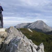 david (@vado_david) 's Twitter Profile