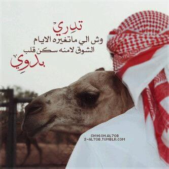 MA in international law (LLM), thinking of doing my next certificate, but not on the mood to do so yet.

الحلو يا بوحميد ذوقه حلو، و المر مر لو زدت الشكر