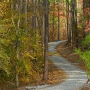 Real estate and forestry company specializing in rural land marketing and timber management in NC and VA.