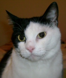 jtrumpler's profile picture. 