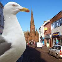 John (@johndowson48) 's Twitter Profile