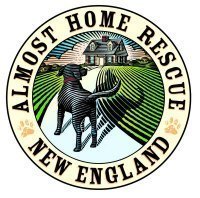 Almost Home Rescue is an all-breed canine rescue group dedicated to saving lives and finding homes for stray, abandoned & surrendered dogs in high kill shelters