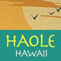 Haole Hawaii(@haolehawaii) 's Twitter Profile Photo