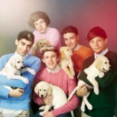 Puppy Direction