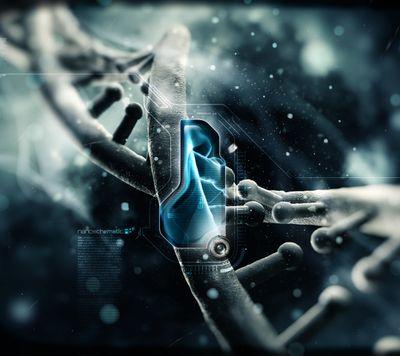 MadHacker12's profile picture. 