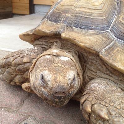 就活アカ、明治大学