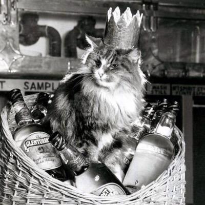 J ベンケイ On Twitter 妖怪ウォッチバスターズ交換募集 下級怪魔 キジニャン出せます メロンニャンスイカニャンワンダーニャン レンタルお願いします