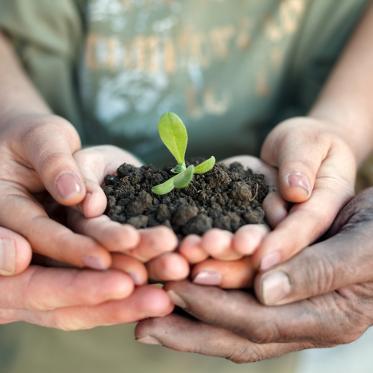 meitheal's profile picture. Neighbours helping neighbours. Post your project here.