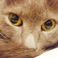 БыльБылева (@bylbyleva) 's Twitter Profile Photo