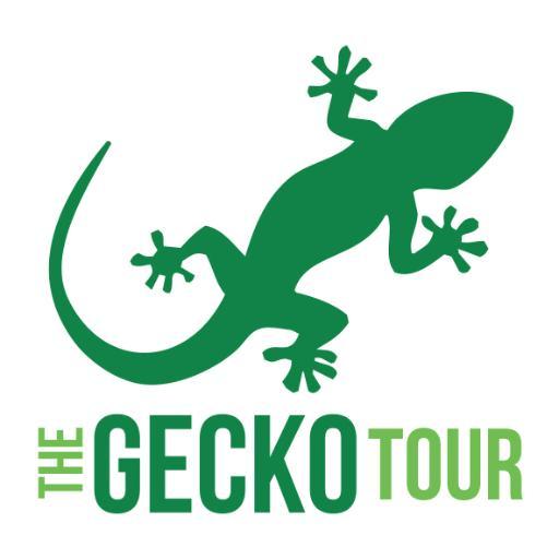 The Gecko Tour hosts a schedule of 14 expertly run 2 & 3 day WAGR accredited tournaments from Nov to March on the Costa del sol. Develop your career in golf 🦎