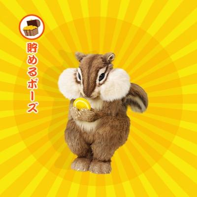 きのこさんのプロフィール画像