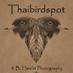 Brian (@thaibirdspot) Twitter profile photo Brian (@thaibirdspot) Twitter profile photo
