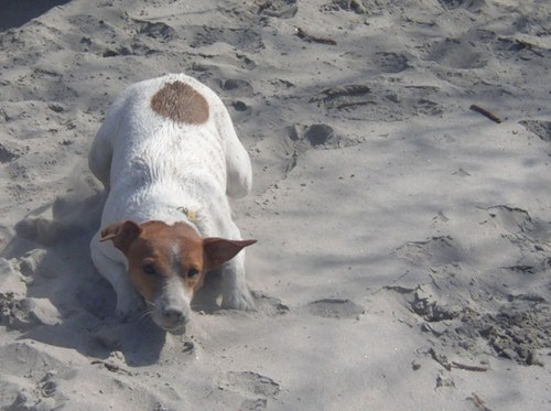 alihammer's profile picture. Loves: the ocean, music, sun, friends, photography, dogs, snowboarding, art, outside, gadgets