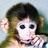 kutlip's profile image
