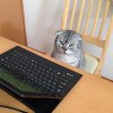 . (@11saltanat11) Twitter