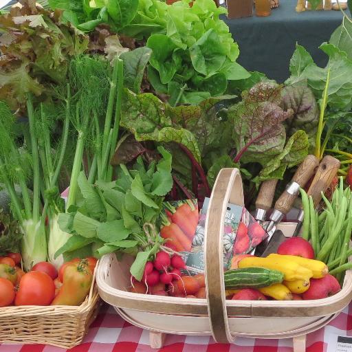 Plot to Shop is a community project at Surrey Docks Farm where adults with learning disabilities grow fruit and vegetables and sell them in the farm shop.