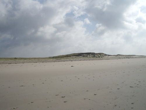 Fidekra's profile picture. liebe den Duft frischer Chips und mag keine nassen Fahrradsättel