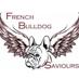 French Bulldog Sav (@FB_Saviours) Twitter profile photo