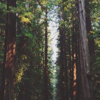 RPGHDI's profile picture. 