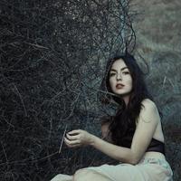 Heather Alarcón Higginbotham (@hhiggz) 's Twitter Profile Photo