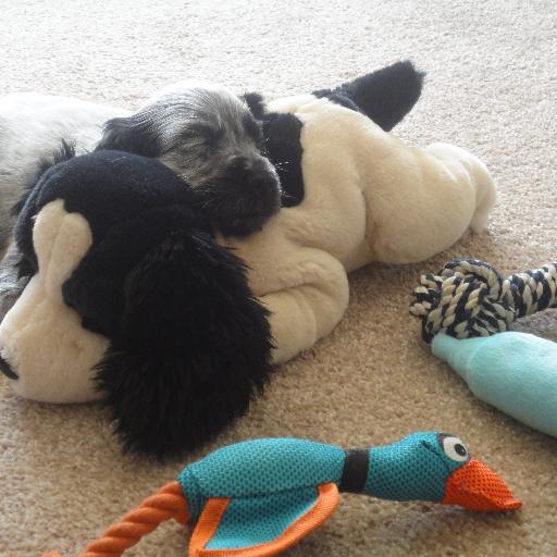 Marion397Marion's profile picture. 