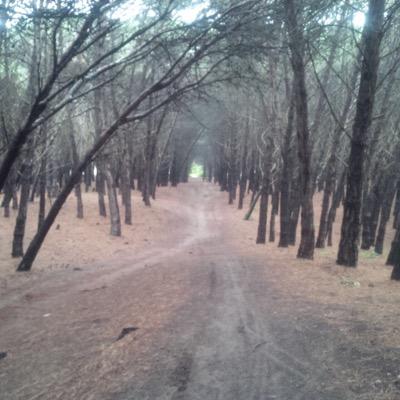 kalafattis's profile picture. 